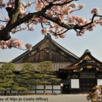Kyoto and Nara Day Trip - Golden Pavilion and Todaiji from Osaka - Practical Considerations