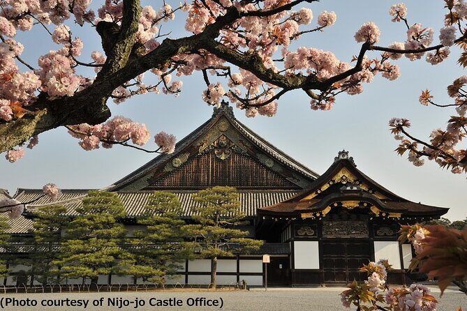 Kyoto and Nara Day Trip - Golden Pavilion and Todaiji from Osaka - Practical Considerations