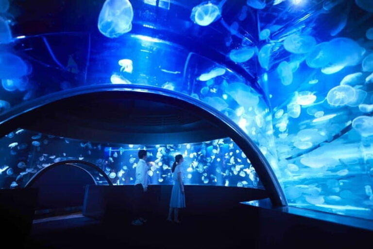 Kyoto Aquarium Admission Ticket - What’s Not in the Brochure: Considerations for Your Visit