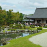Kyoto: Arashiyama Bamboo Forest and Nijo Castle Private Tour - Why Choose This Tour?