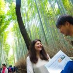 Kyoto Arashiyama Bamboo forest & Garden Half-Day Walking Tour - The Cultural Heart: Temples and Gardens