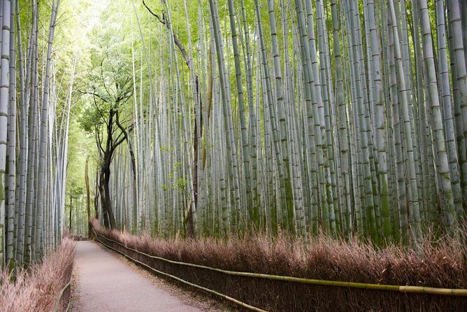 Kyoto Arashiyama Customized Private Tour with Licensed Guide - Who Will Love This Tour?