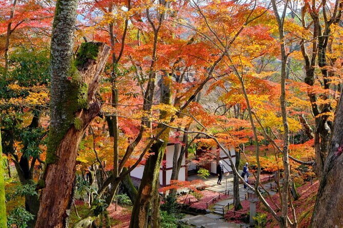 Kyoto Arashiyama: Fall Foliage Walking TourAutumn's limited - Okochi Sanso Garden: A Zen Retreat in Autumn Colors