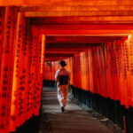Kyoto Arashiyama Fushimi Inari Taisha Shrine and Nara Park Tour - Practical Details and What They Mean for You