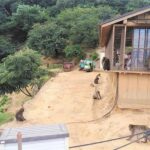 Kyoto Arashiyama & Golden Pavilion One-Day Walking Tour - The Sum Up