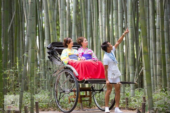 Kyoto Arashiyama Rickshaw Tour with Bamboo Forest - Who Should Consider This Tour?