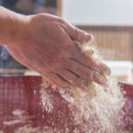 Kyoto Arashiyama soba noodle making experience - Private plan - Who Will Love This Tour?