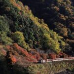 Kyoto: Arashiyama Tour with optional Sagano Romantic Train - Exploring the Tour in Detail