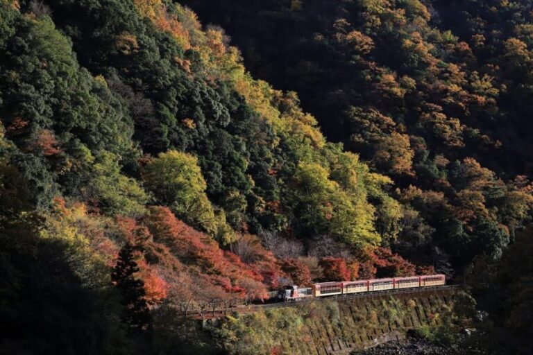 Kyoto: Arashiyama Tour with optional Sagano Romantic Train - Exploring the Tour in Detail