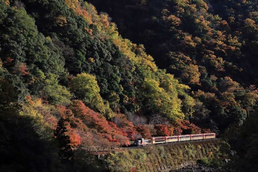 Kyoto: Arashiyama Tour with optional Sagano Romantic Train - Exploring the Tour in Detail