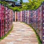 Kyoto Arashiyama Walking Tour - Bamboo, Monkeys, Temple & Secrets - Practical Details and What You Get