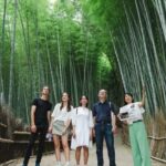 Kyoto: Arashiyama Walking Tour with Local Guide - The Value of This Tour