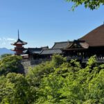 Kyoto Custom Private Car Tour with Local Guide - FAQs