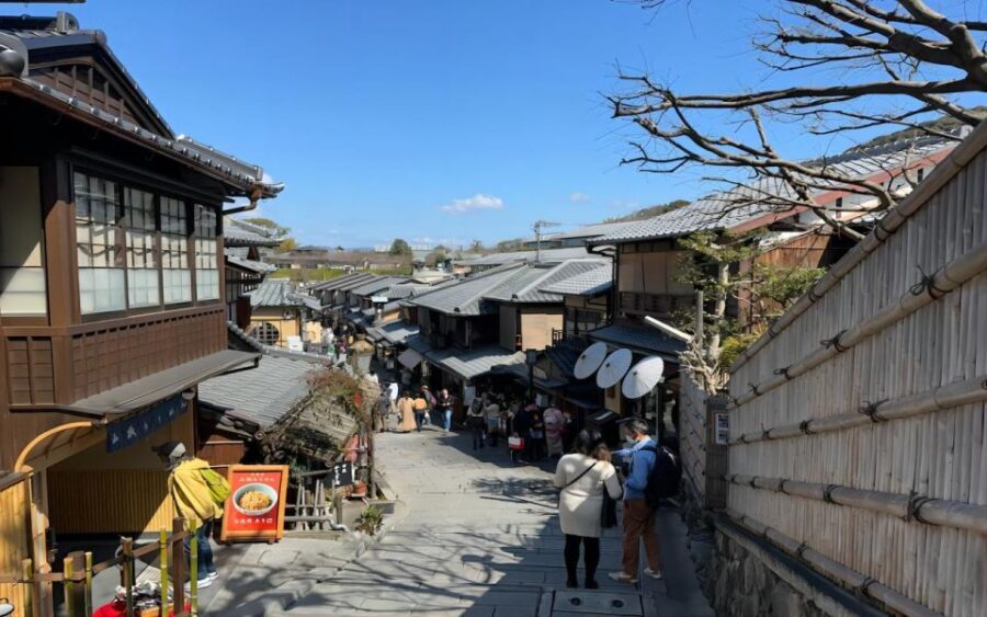 Kyoto: Customizable Full-Day Tour with Privarte Transfers - Who Will Love This Experience?