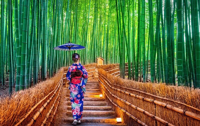 Kyoto Day Tour with Certified Tour Guide & Luxury vehicle - Final Thoughts