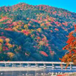 Kyoto Day Trip! Private Customizable Tour with Expert Guides - Key Points