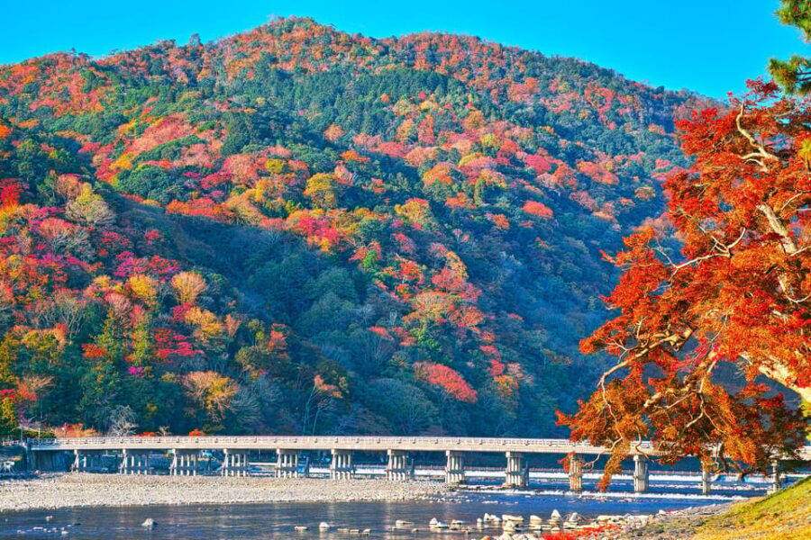 Kyoto Day Trip! Private Customizable Tour with Expert Guides - Key Points