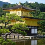 Kyoto Day Trip using Private Car with English Driver (up to 5) - Price and Value Analysis