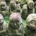 Kyoto: Descending Arashiyama (Private) - Practical Details and What to Expect