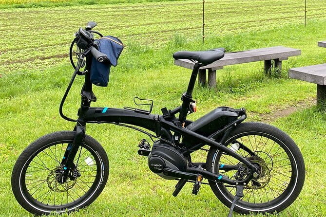 Kyoto E-Bike Rent (Tern Vektron) - What to Expect from the Kyoto E-Bike Rental Experience