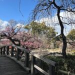 Kyoto Early Bird Half Day Private Tour with Transfer - An In-Depth Look at the Tour Experience