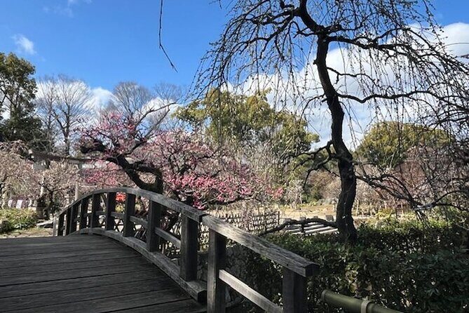 Kyoto Early Bird Half Day Private Tour with Transfer - An In-Depth Look at the Tour Experience