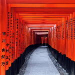 Kyoto Early Bird Tour: Fushimi Inari, Arashiyama Bamboo & Monkeys - Who Would Love This Tour?