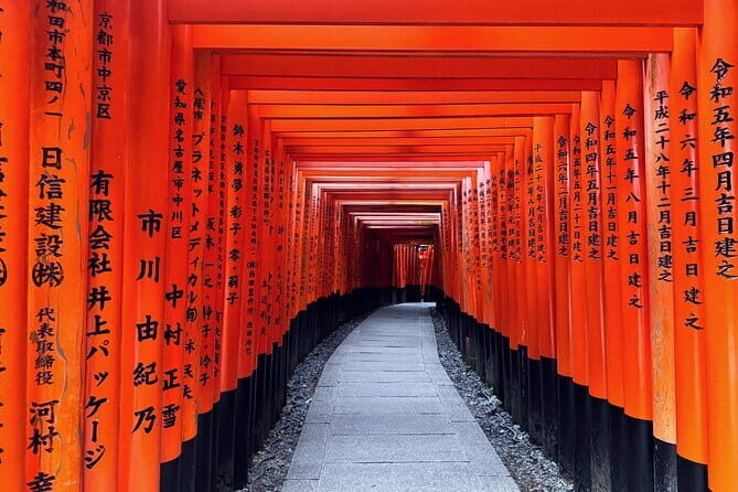Kyoto Early Bird Tour: Fushimi Inari, Arashiyama Bamboo & Monkeys - Who Would Love This Tour?