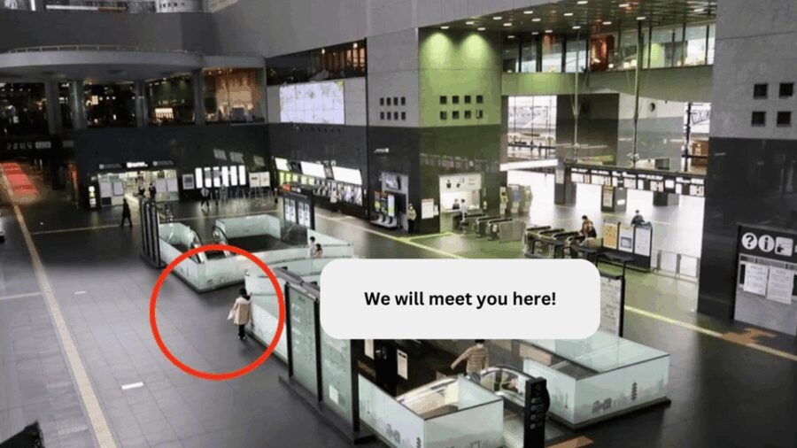 Kyoto: Early Morning Tour with English-Speaking Guide - Who Will Love This Tour?