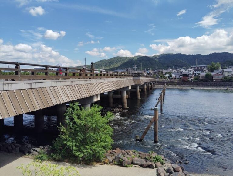 Kyoto: Enjoy Byodoin Temple and Tea Sweets - 90 Min Tour - Detailed Review