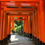 Kyoto: Essential Tour with Fushimi Inari & Bamboo Grove - Diving Into the Details: The Itinerary and Why It Matters