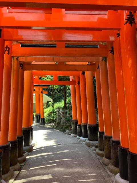 Kyoto: Essential Tour with Fushimi Inari & Bamboo Grove - Diving Into the Details: The Itinerary and Why It Matters