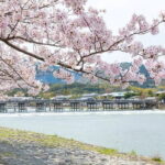 Kyoto Exclusive Private Tour with Vehicle & Professional Guide - Who Will Love This Tour?