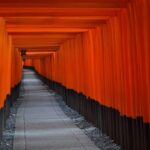 Kyoto : Flexible 3 hours Tour with a English Speaking guide. - Why We Recommend This Tour