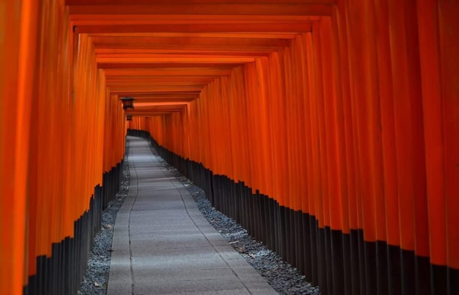 Kyoto : Flexible 3 hours Tour with a English Speaking guide. - Why We Recommend This Tour