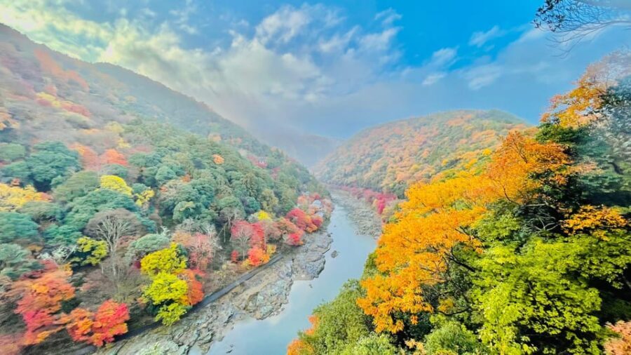 Kyoto: Full-Day Highlight Guided Tour with Expert Tour Guide - An In-Depth Look at the Kyoto Full-Day Tour