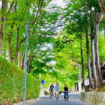 Kyoto: Fushimi Inari Shrine and Tofukuji Temple E-Bike Tour - What’s Included & Not Included