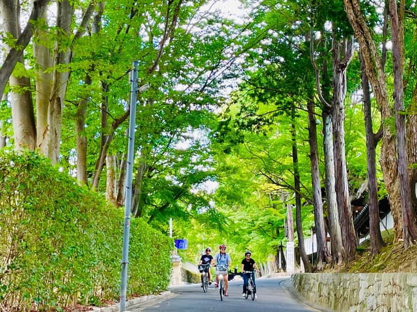 Kyoto: Fushimi Inari Shrine and Tofukuji Temple E-Bike Tour - What’s Included & Not Included