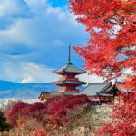 Kyoto: Fushimi Inari-taisha y Kiyomizu-dera (Spanish Guide) - A Detailed Look at the Kyoto: Fushimi Inari-taisha and Kiyomizu-dera Tour