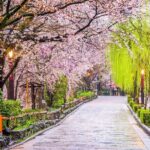 Kyoto Geisha District Walking Tour in Gion - FAQs