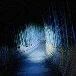 Kyoto Ghost Tour: Dark Tales, Urban Legends, Bamboo Forest Night - Authenticity and Value