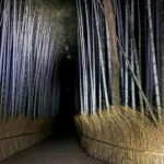 Kyoto: Ghost Tour - Legends, Dark Tales, Bamboo Forest Night - Who Will Love This Tour?