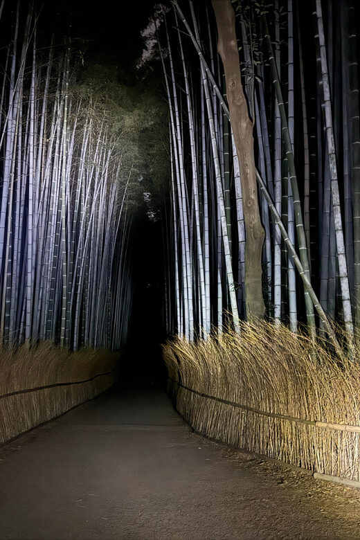 Kyoto: Ghost Tour - Legends, Dark Tales, Bamboo Forest Night - Who Will Love This Tour?