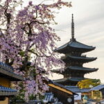 Kyoto Gion Early Morning Walking Tour - Why This Tour Offers Great Value