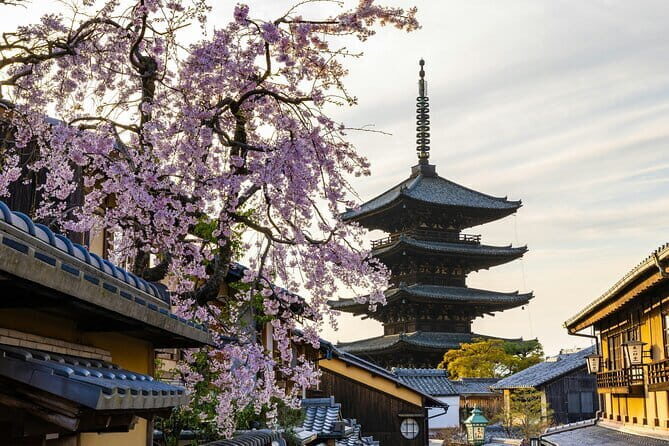 Kyoto Gion Early Morning Walking Tour - Why This Tour Offers Great Value
