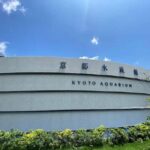 Kyoto: Guided Tour of Great Festivals and Cultural Events - Who Will Love This Tour?