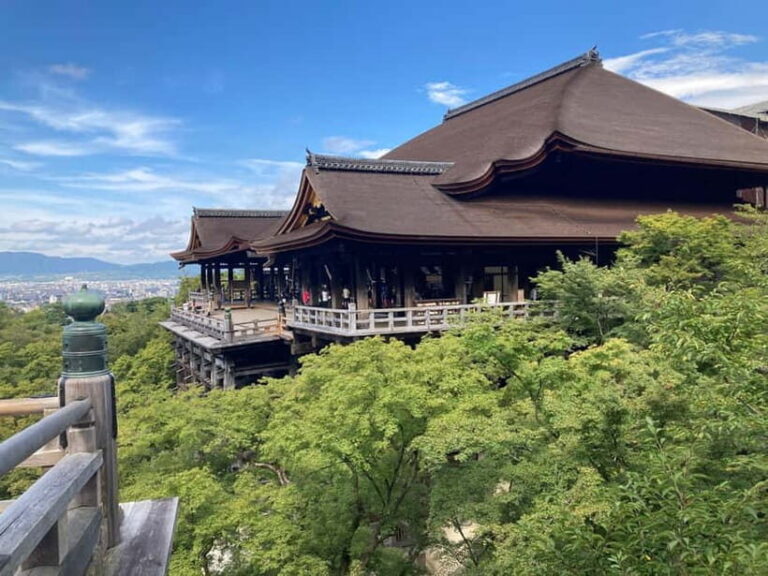 Kyoto Guided Walking Tour Kiyomizu & FushimiInari Highlight - What Travelers Say