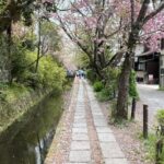 Kyoto: Half-Day Private Guided Tour of the Silver Pavilion - In-Depth Review of the Kyoto Silver Pavilion Tour