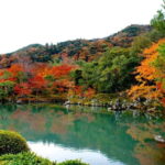 Kyoto: Highlights Guided Walking Tour - Who Will Love This Tour?