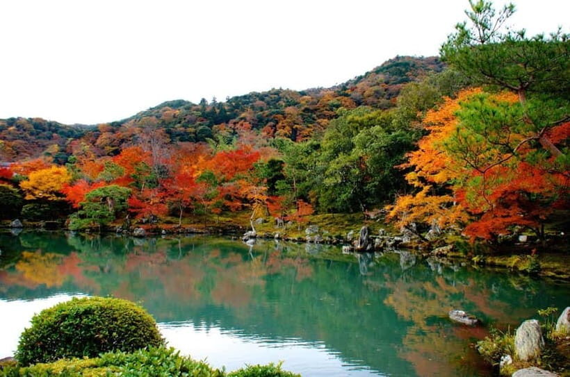 Kyoto: Highlights Guided Walking Tour - Who Will Love This Tour?